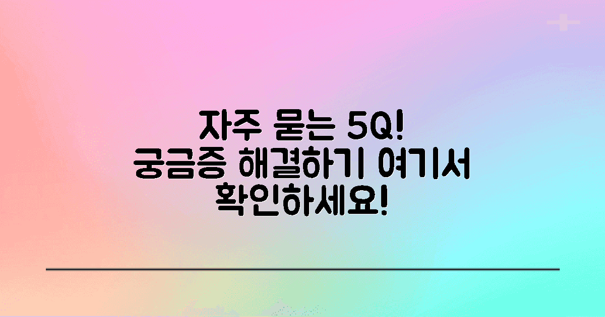 5가지 자주 묻는 질문