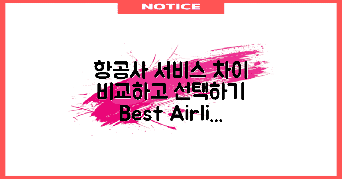 항공사별 서비스 차이