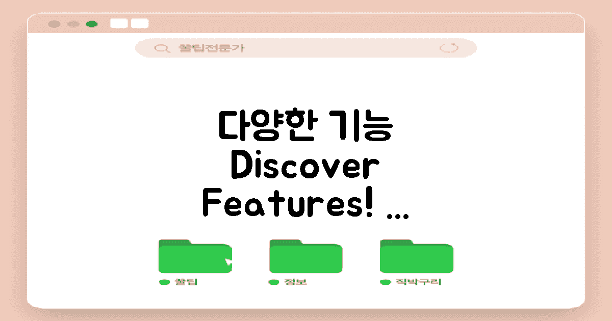다음의 다양한 기능 탐험