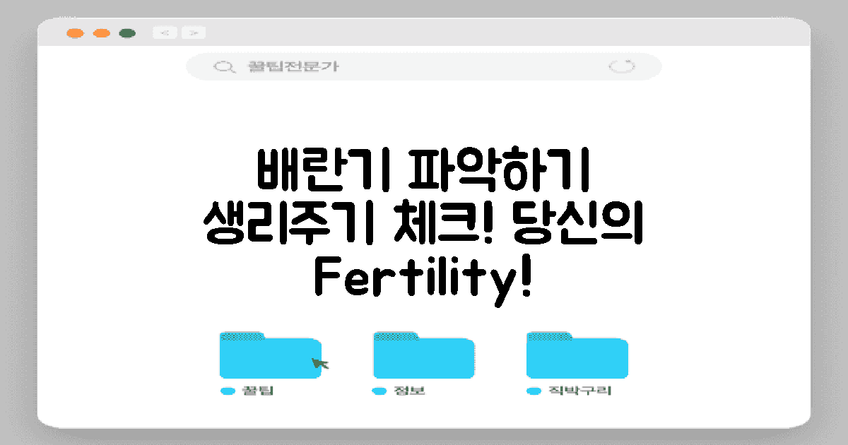 배란기를 파악하세요