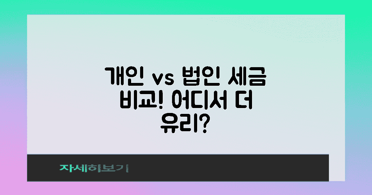 개인 vs 법인 세금 비교