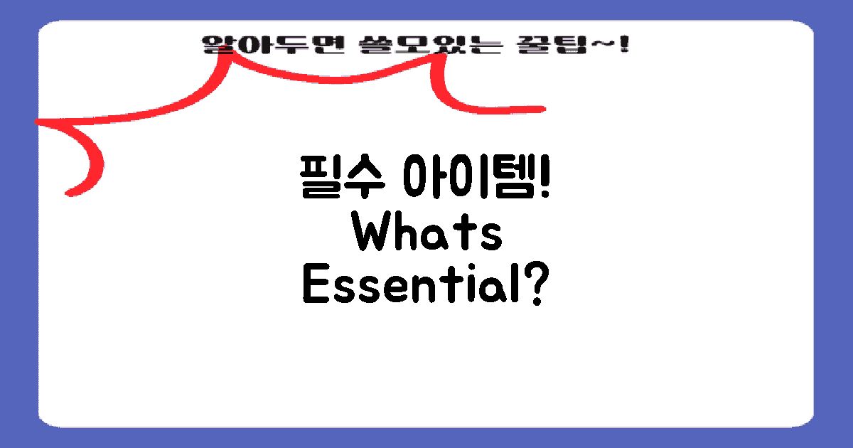 필수 아이템은 무엇일까?