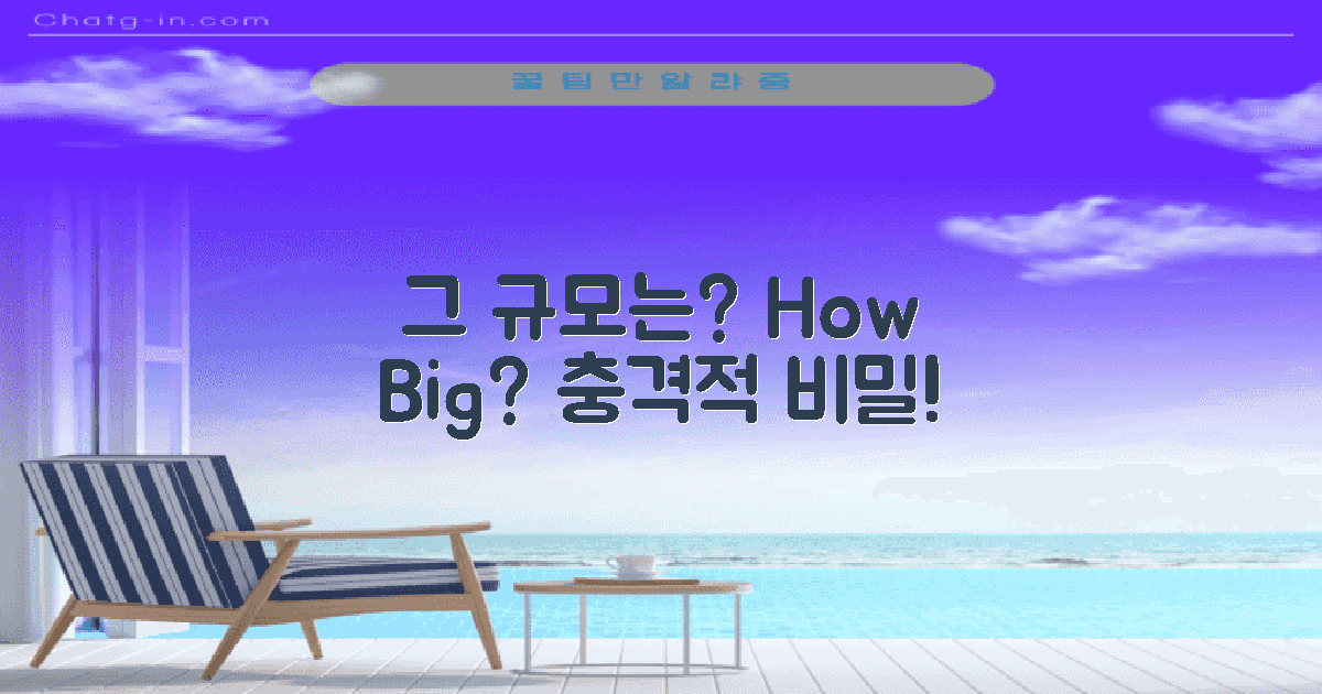 그 규모는 얼마나 될까?