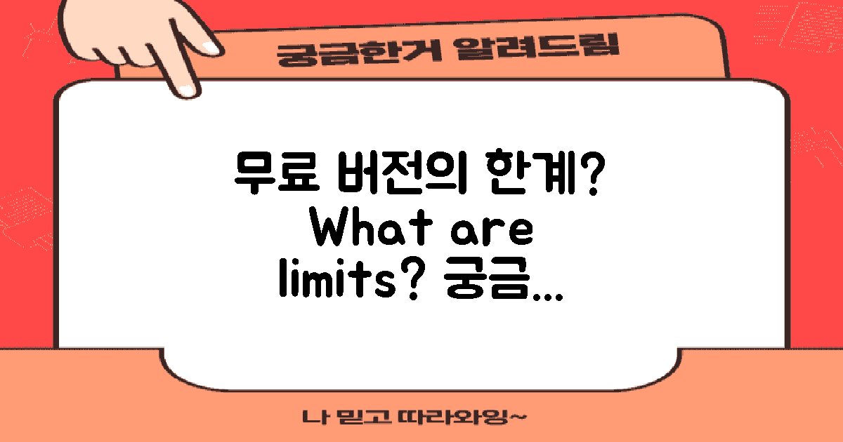 무료 버전의 한계는 무엇일까?