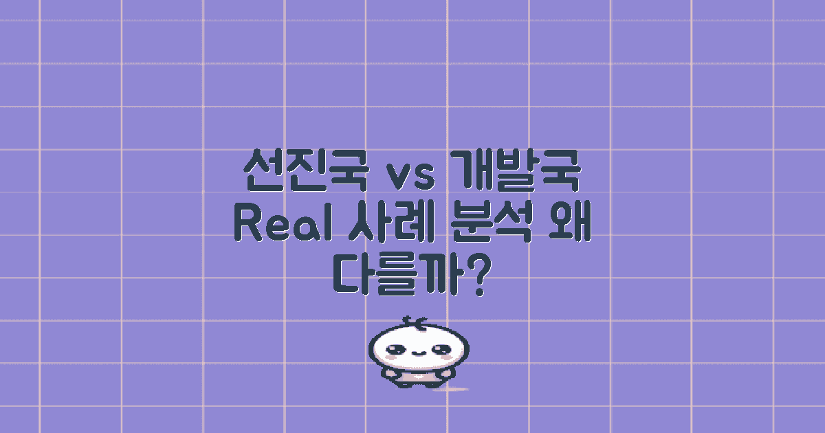 선진국 vs 개발도상국 사례