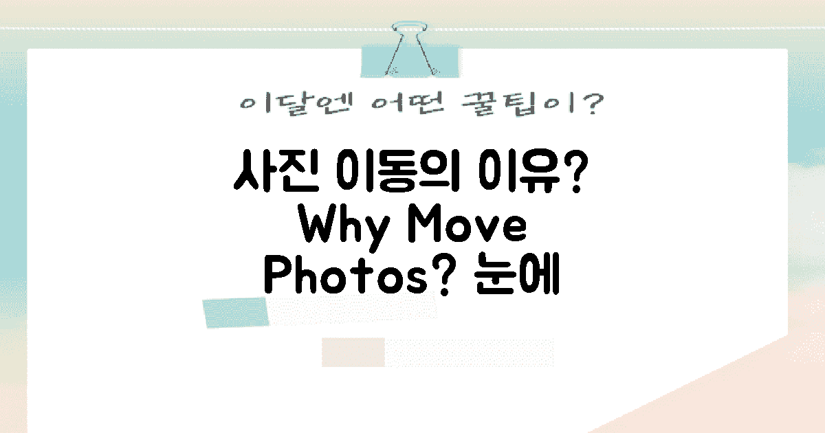 왜 사진을 옮길까?