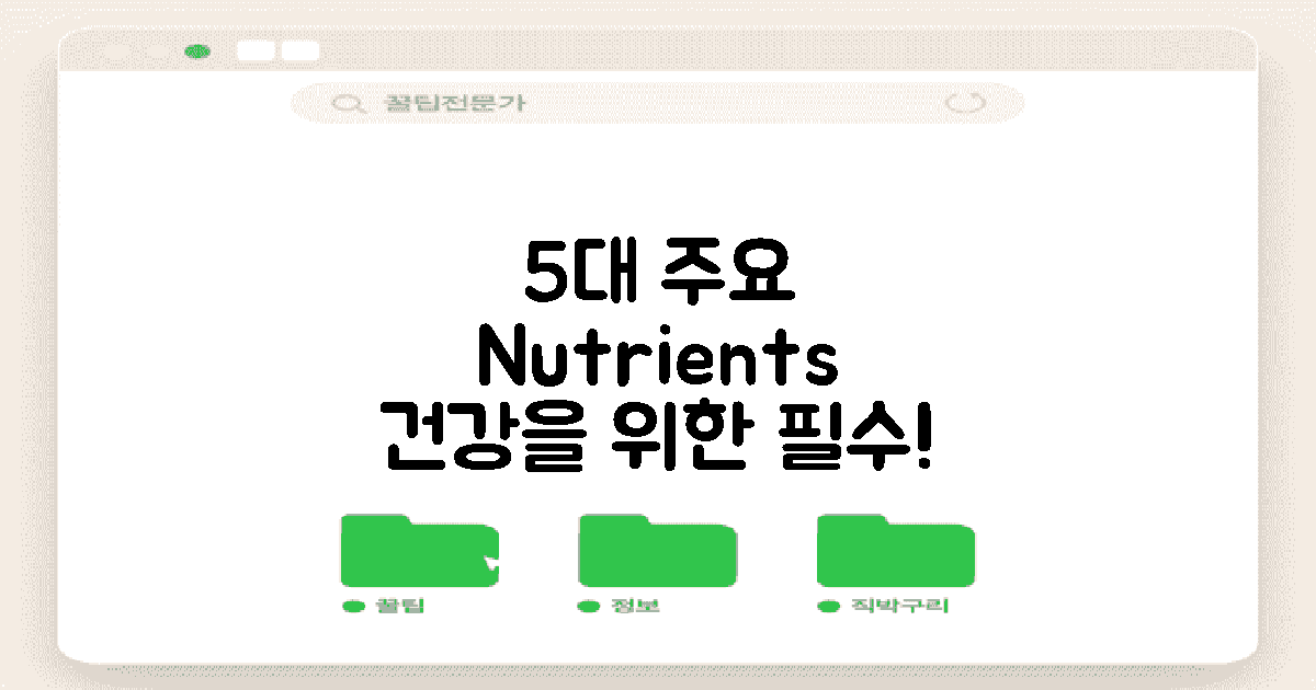 5가지 주요 영양소