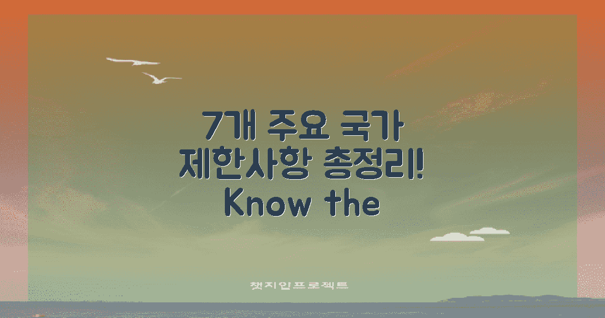 7개 주요 국가 제한사항