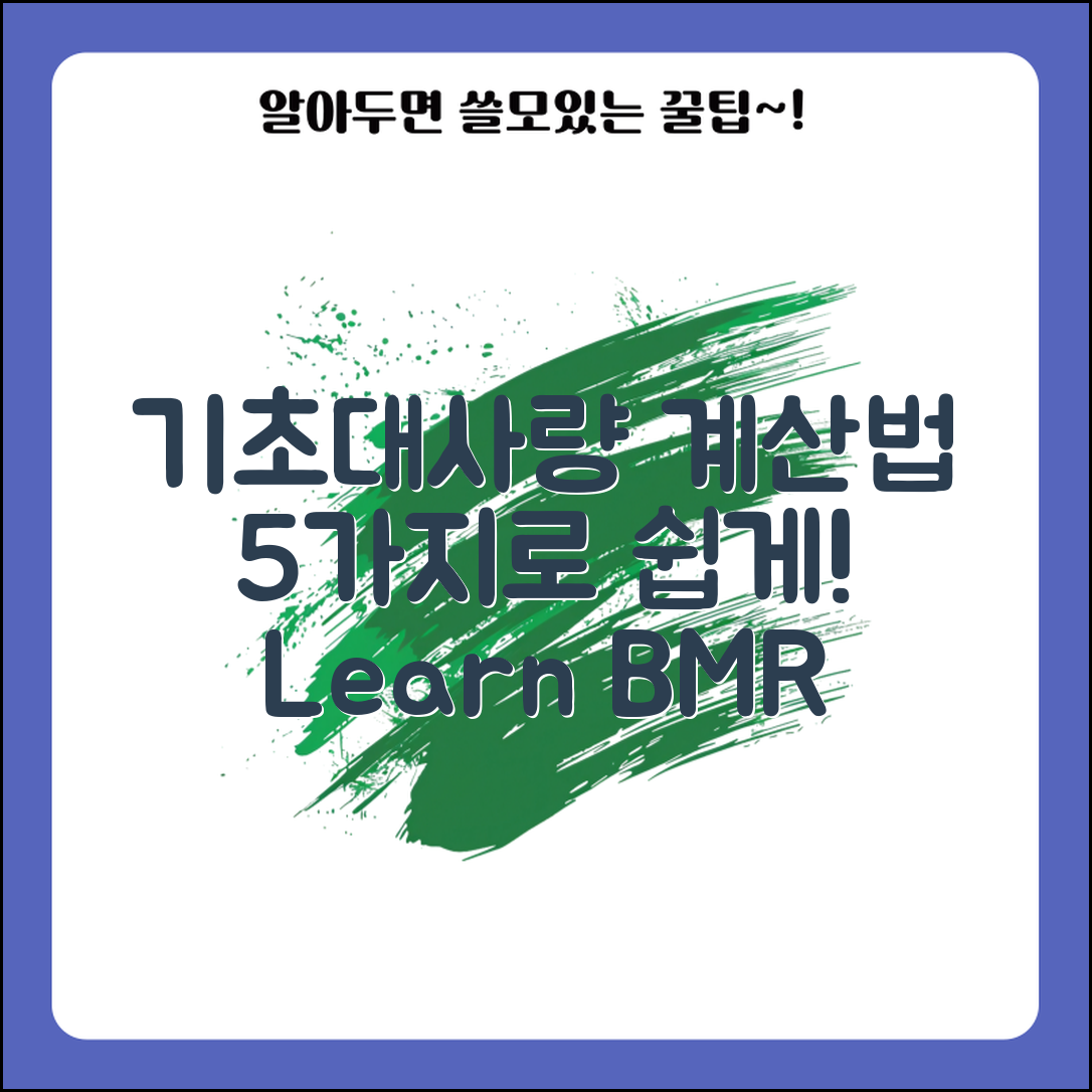 기초대사량 계산기 활용법 5가지로 쉽게 배우기
