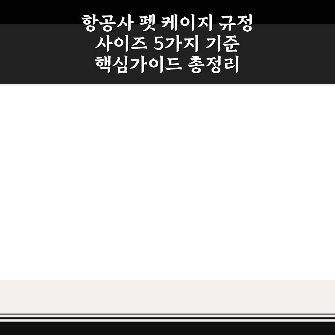 항공사 펫 케이지 규정 사이즈 5가지 기준 핵심가이드 총정리