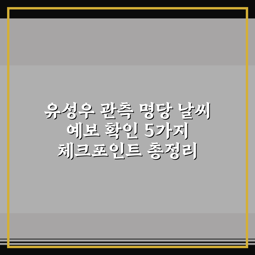 유성우 관측 명당 날씨 예보 확인 5가지 체크포인트 총정리