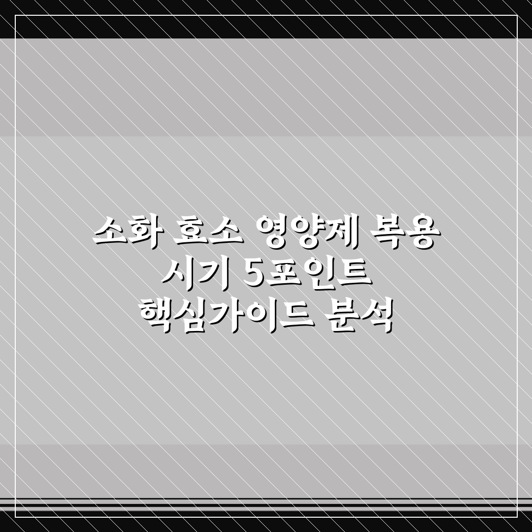 소화 효소 영양제 복용 시기 5포인트 핵심가이드 분석