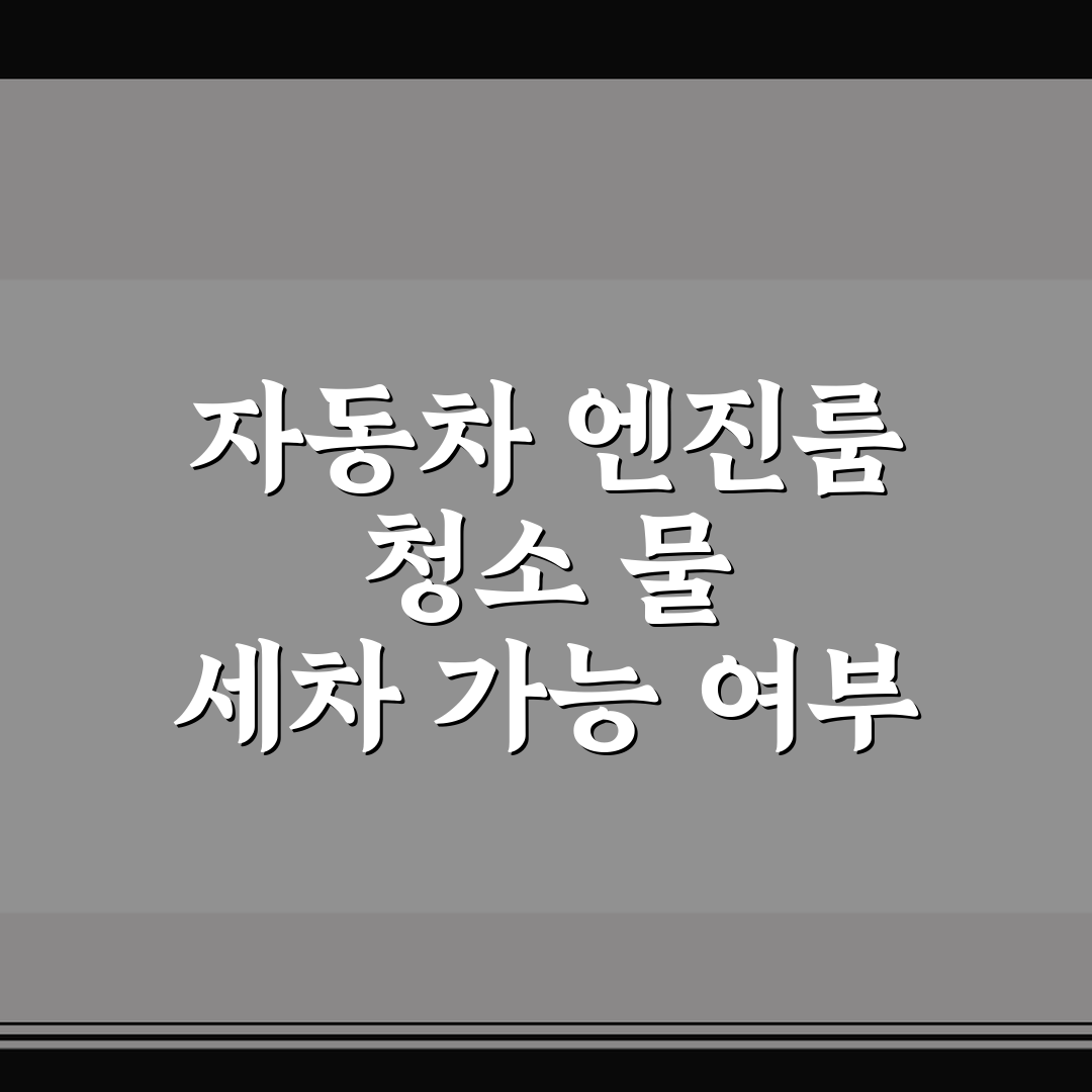 자동차 엔진룸 청소 물 세차 가능 여부 5가지 체크포인트 총정리
