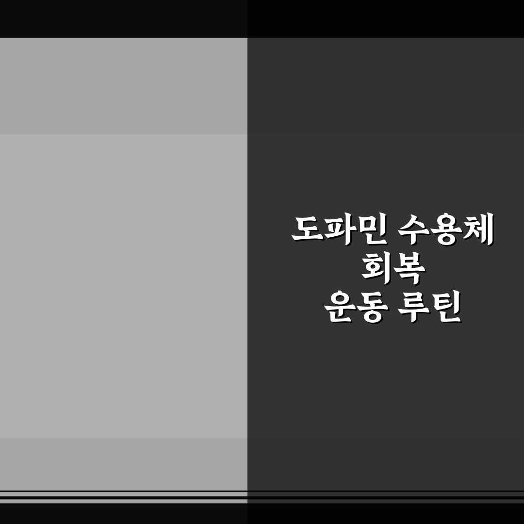 도파민 수용체 회복 운동 루틴 5포인트 핵심가이드 및 비교 분석