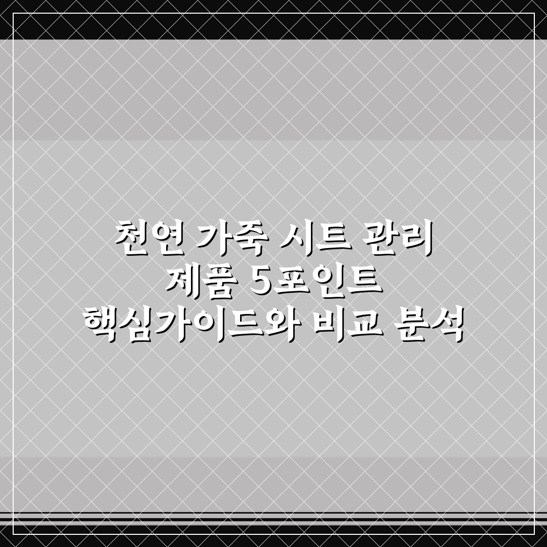 천연 가죽 시트 관리 제품 5포인트 핵심가이드와 비교 분석