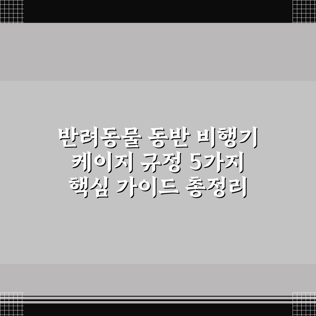 반려동물 동반 비행기 케이지 규정 5가지 핵심 가이드 총정리