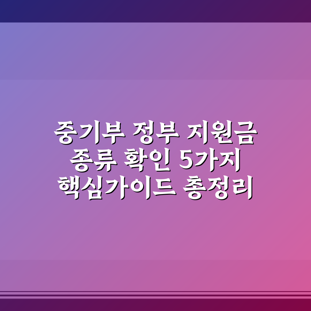 중기부 정부 지원금 종류 확인 5가지 핵심가이드 총정리