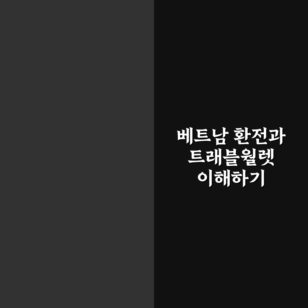 베트남 환전 트래블월렛 사용법 꿀팁과 주의사항 정리