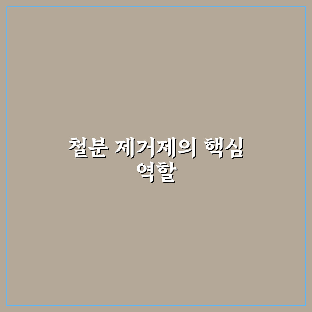 디테일링 세차 철분 제거제 사용 주기와 주의점 추천
