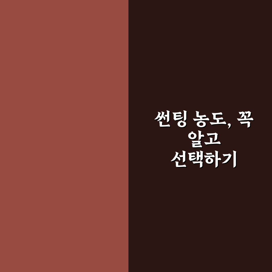 자동차 썬팅 농도 추천과 선택 꿀팁 쉽게 알려드려요