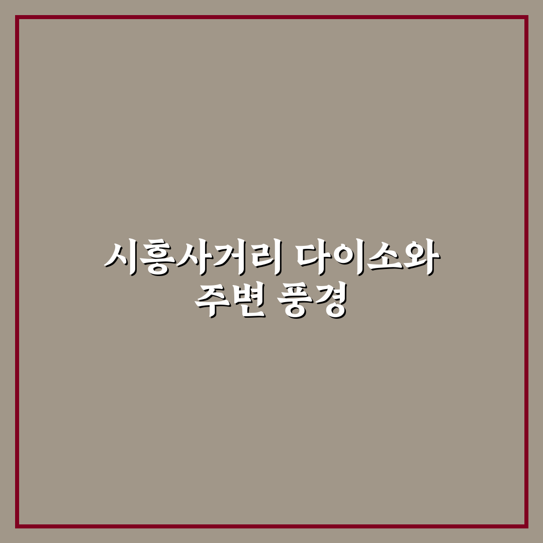 시흥사거리 다이소 방문 전 알아두면 좋은 꿀팁 정리