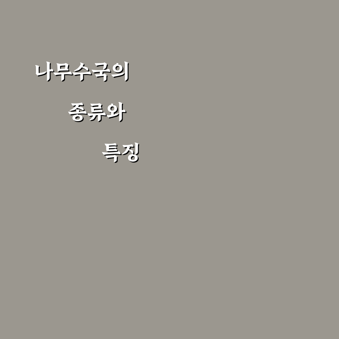 나무수국 종류와 특징 쉽게 정리한 초보자 가이드