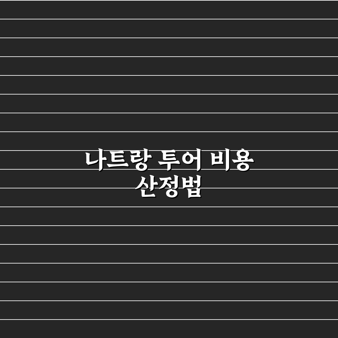 베트남 나트랑 프라이빗 투어 가격과 추천 팁 정리