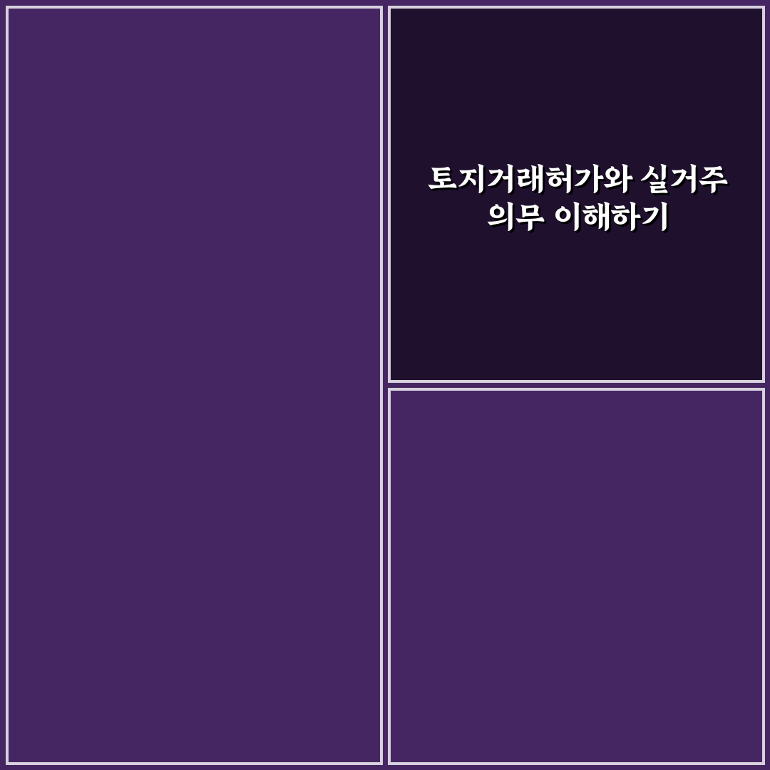 토지거래허가구역 내 실거주 의무 예외 규정 쉽게 정리한 꿀팁