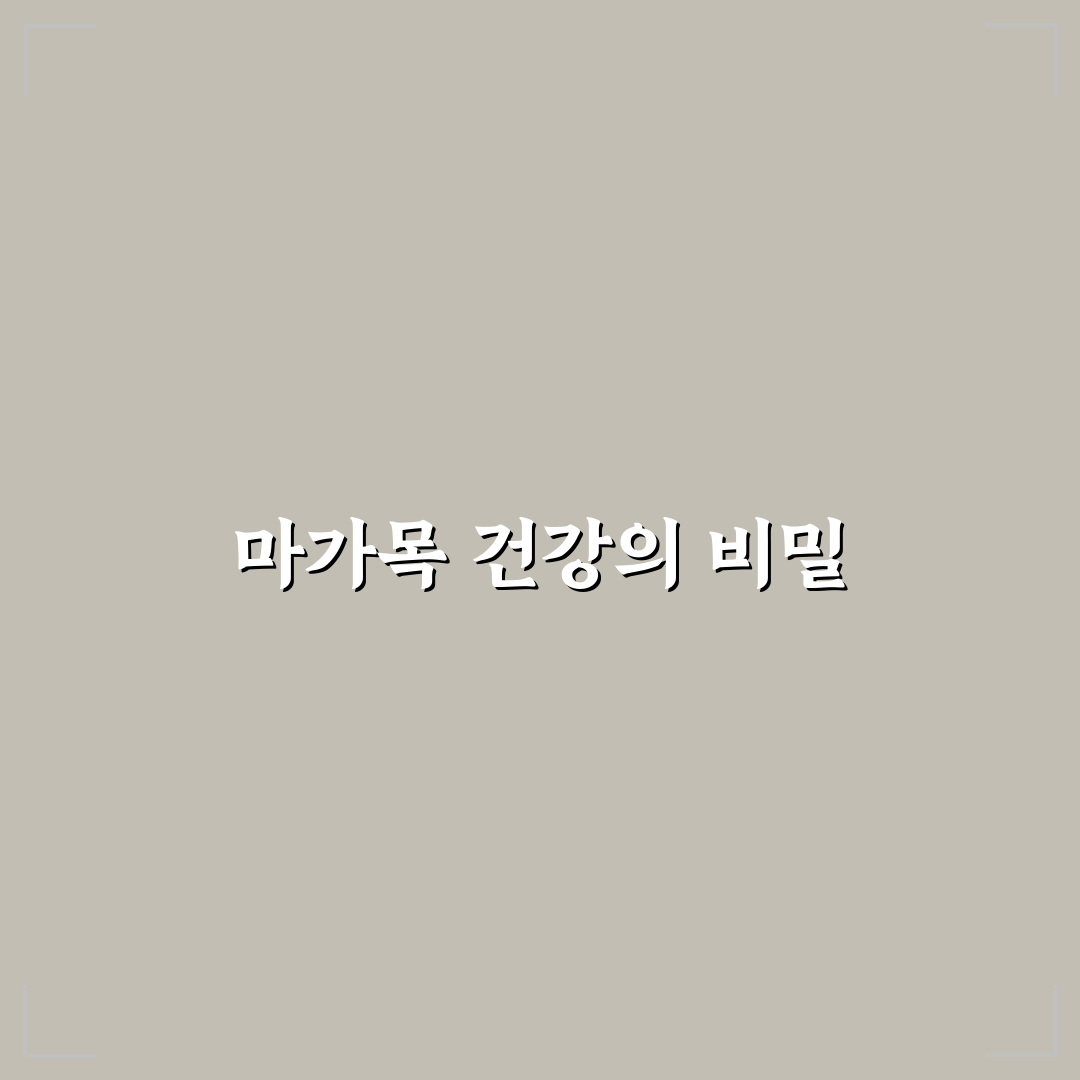마가목 프리미엄골드 효과와 선택 꿀팁 알려드려요