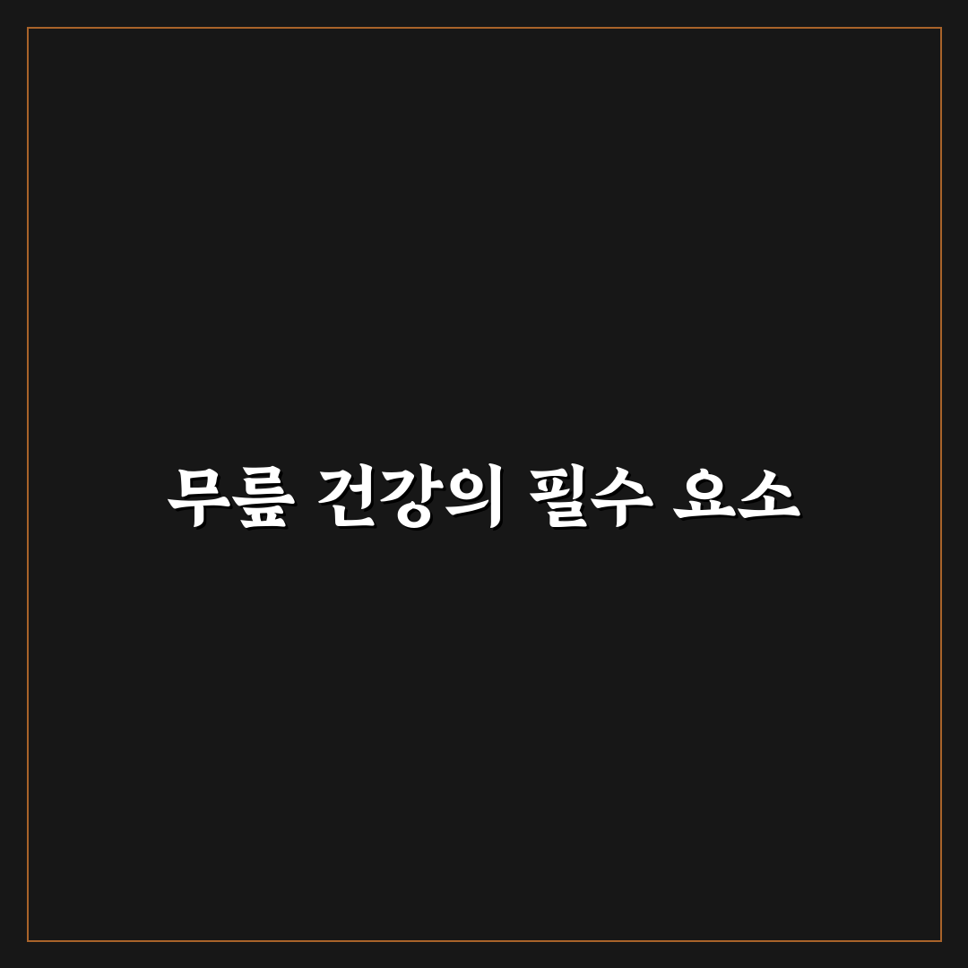 무릎 관절 콘드로이친 추천과 효과별 선택 꿀팁