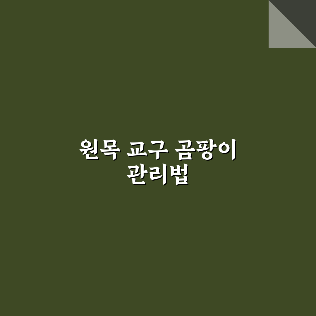 몬테소리 교구 원목 곰팡이 제거 관리법 꿀팁 알려드려요