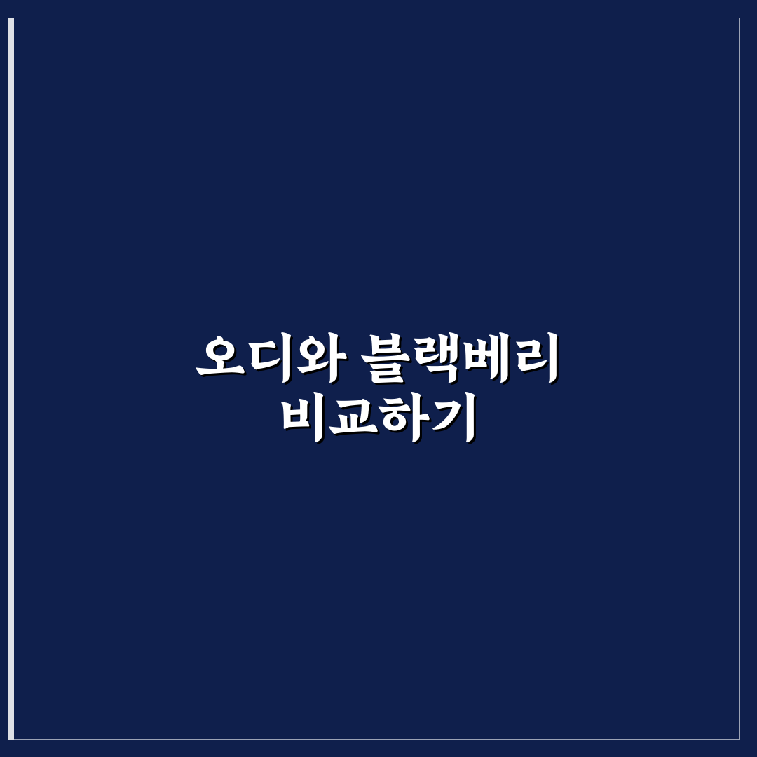 오디 블랙베리 차이 쉽게 이해하는 비교와 정리