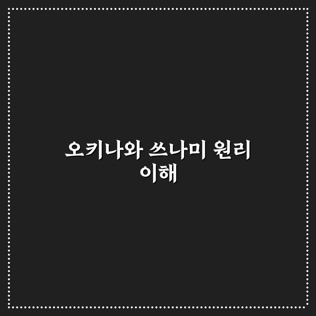 오키나와 쓰나미 발생 시 대처법과 정보 정리