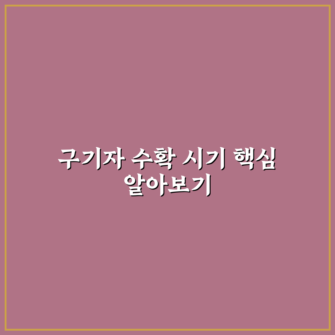 구기자수확시기 알아두면 좋은 꿀팁 정리