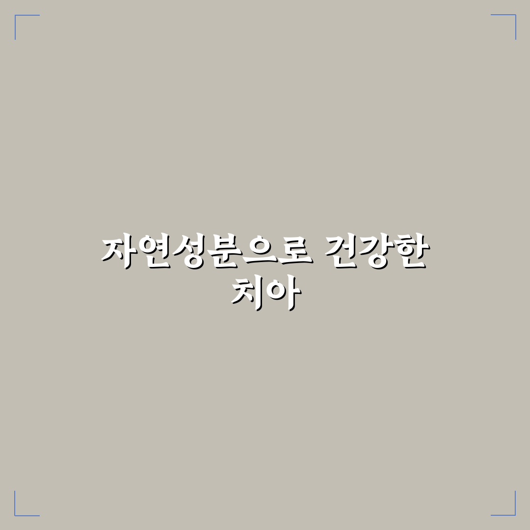 콤비타 프로폴리스 치약 사용법과 추천 꿀팁 알려드려요