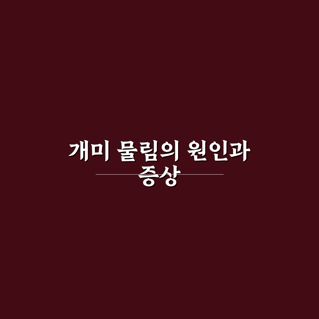 개미 물림 따가움 완화 방법과 꿀팁 알려드려요