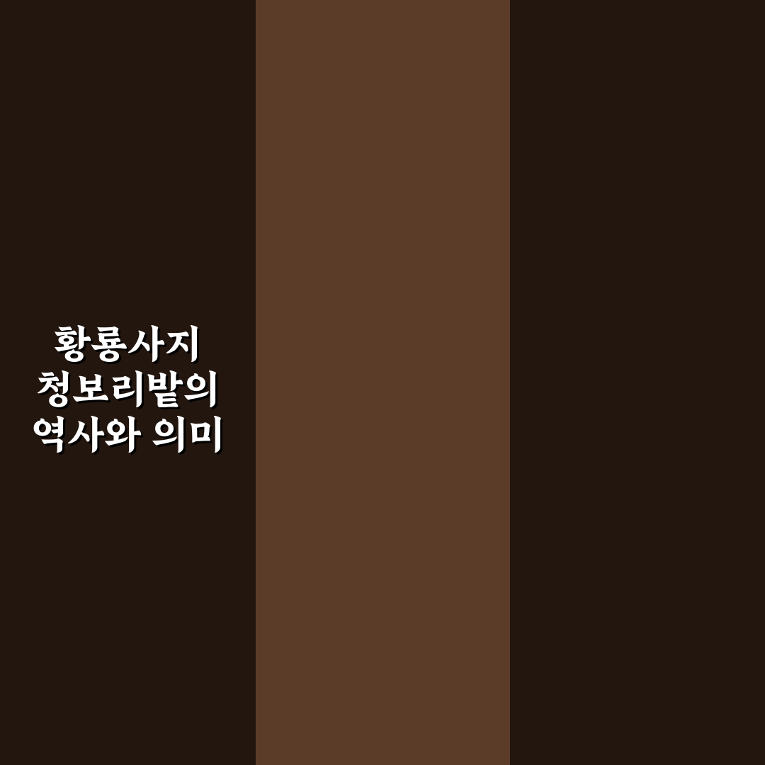 황룡사지 청보리밭 방문 꿀팁 및 산책 코스 정리