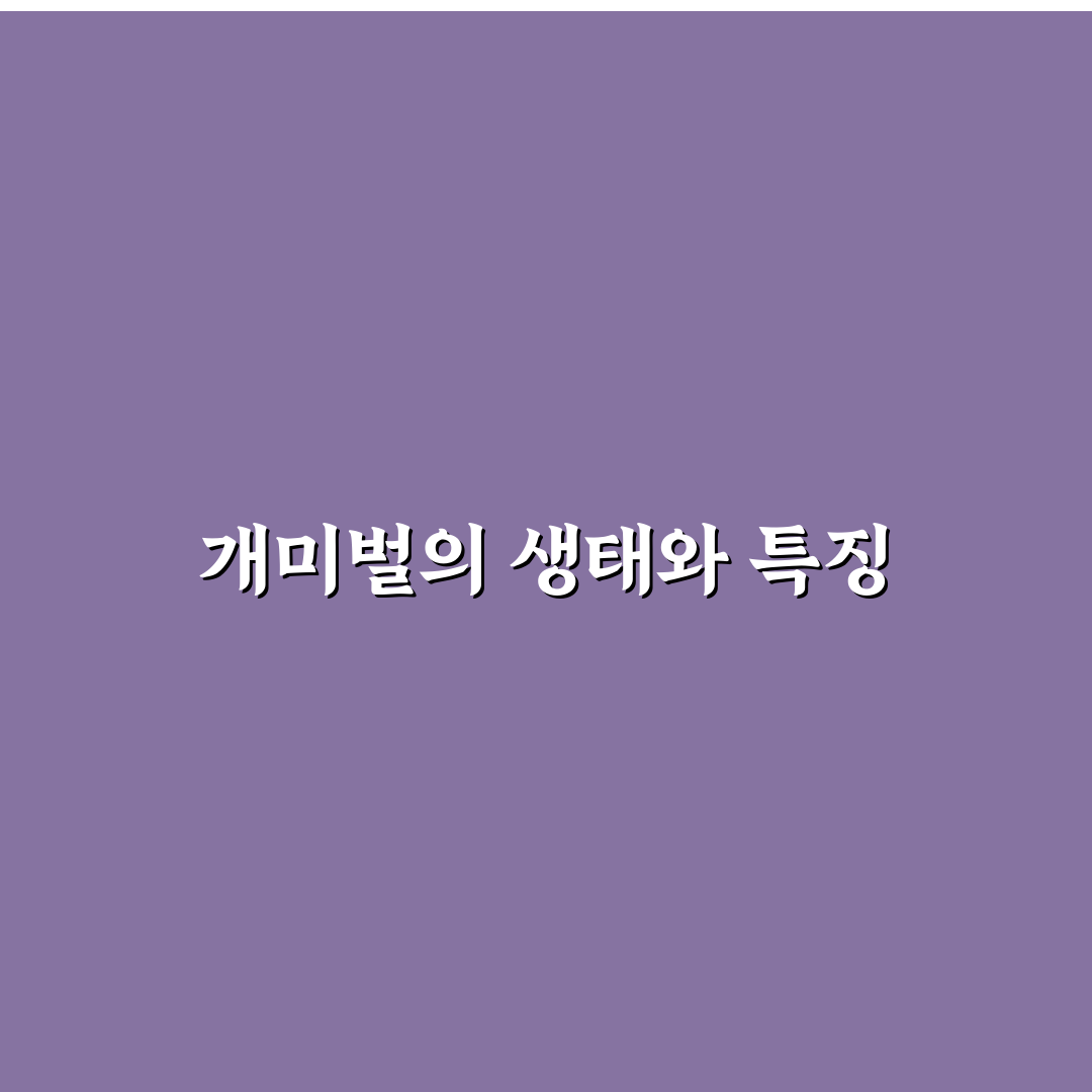개미벌 생태와 특징 쉽게 알려드려요