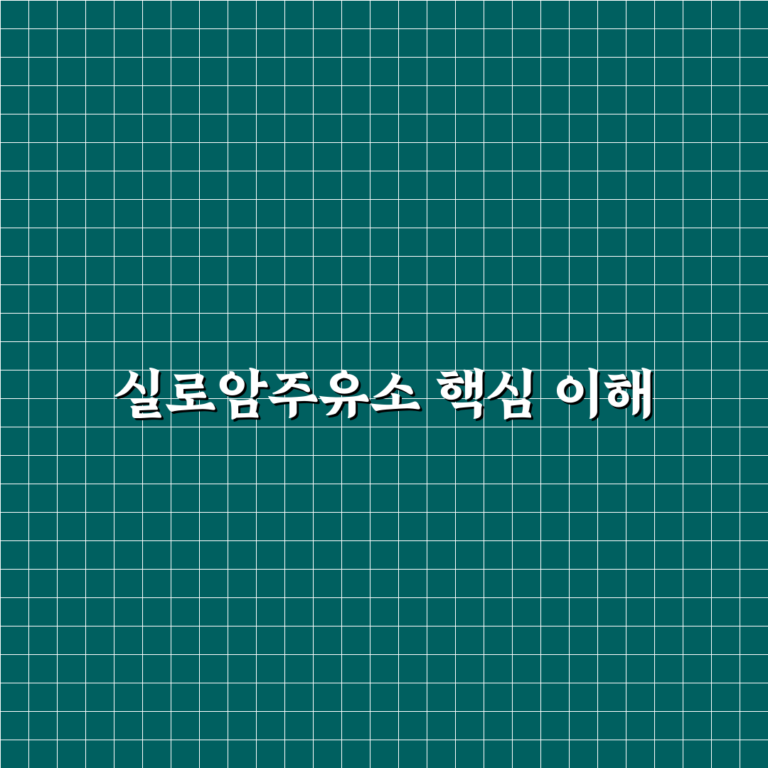 실로암주유소 이용 꿀팁과 방문 전 알아두면 좋은 정보