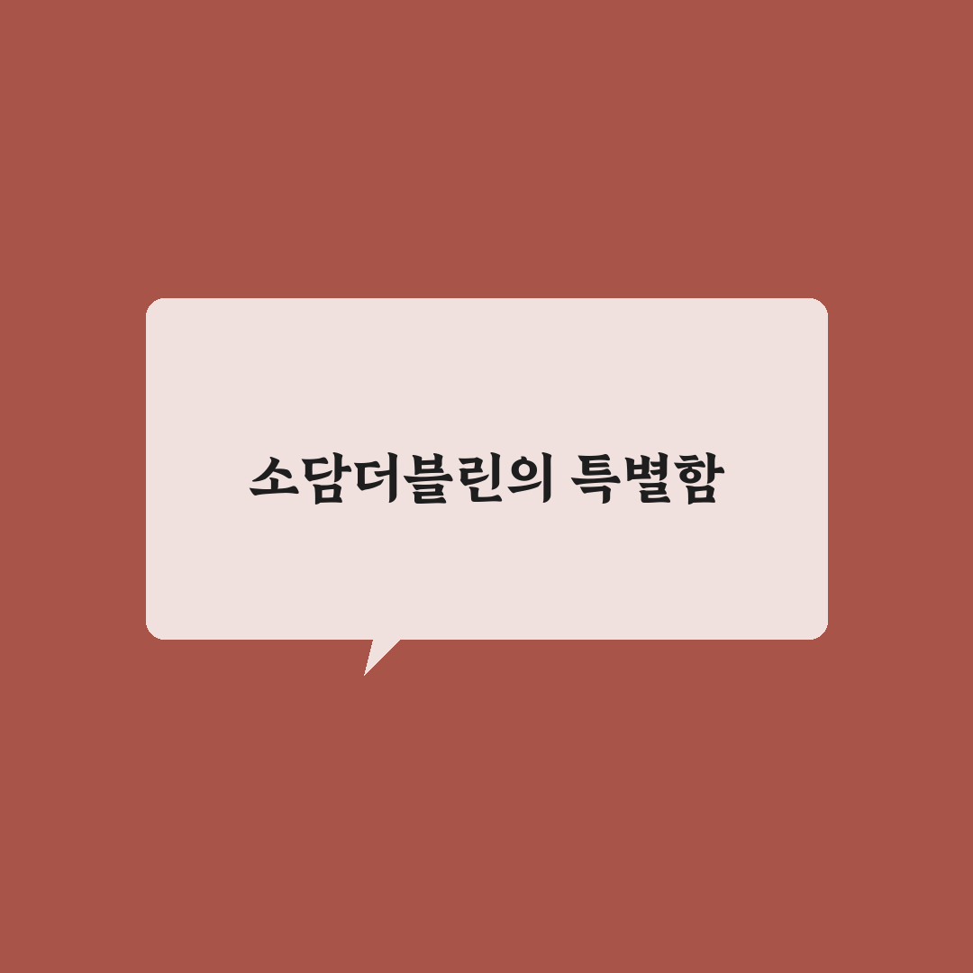 소담더블린 사용법과 꿀팁 쉽게 알려드려요