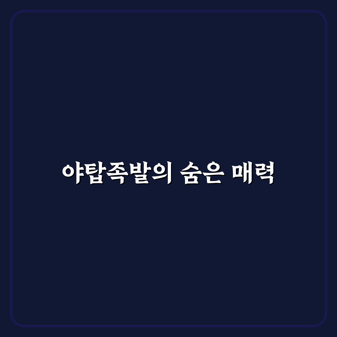 야탑 골목족발 맛집 정보와 방문 전 꿀팁 알려드려요