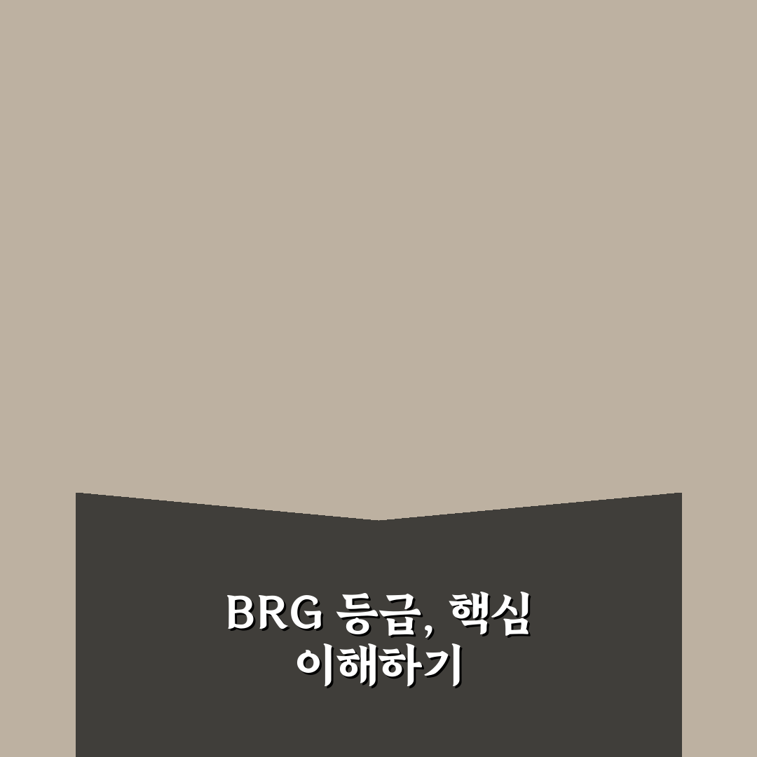 brg 등급 신청 방법 쉽게 알려드려요 꿀팁 정리