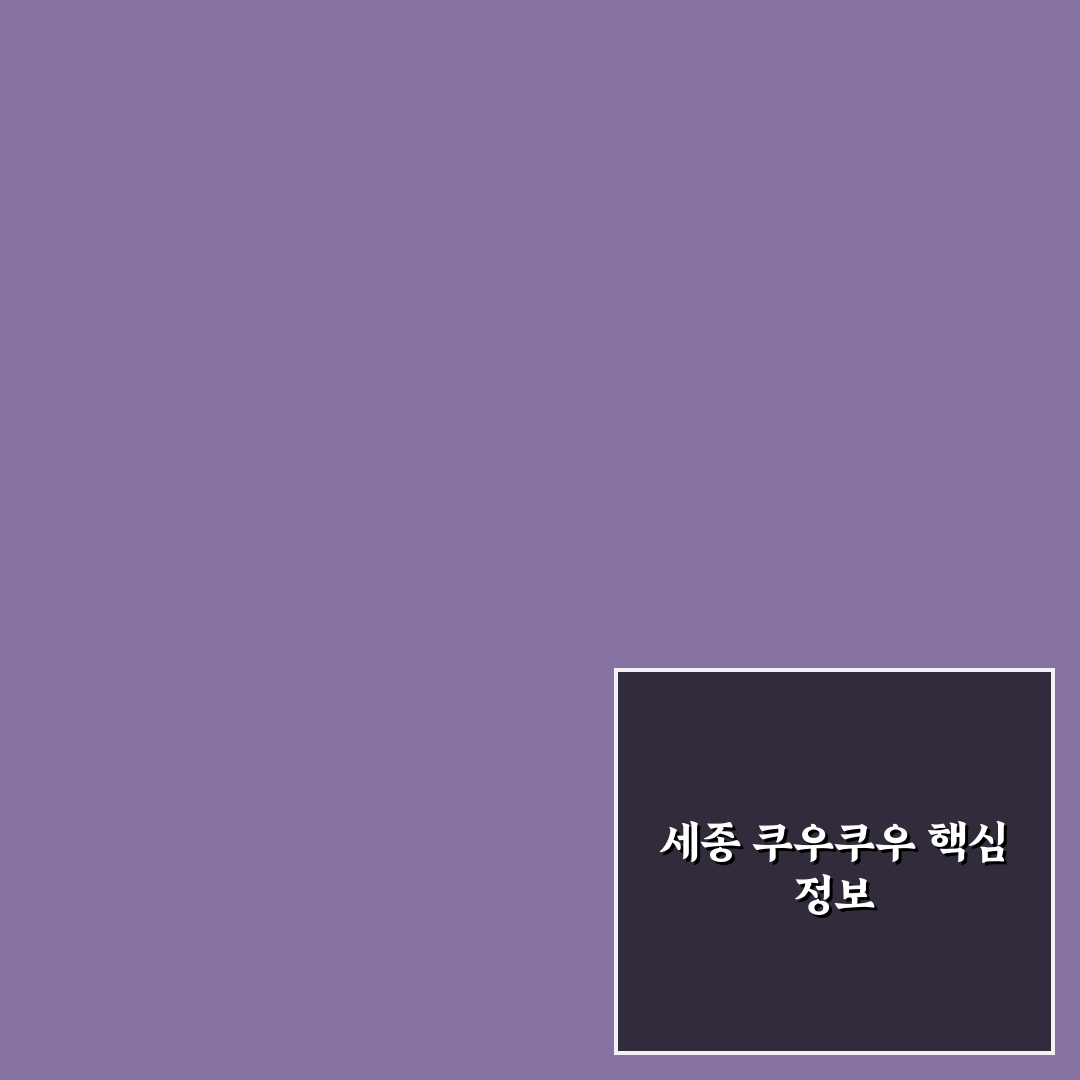 세종 쿠우쿠우 이용 꿀팁과 메뉴 추천 정리