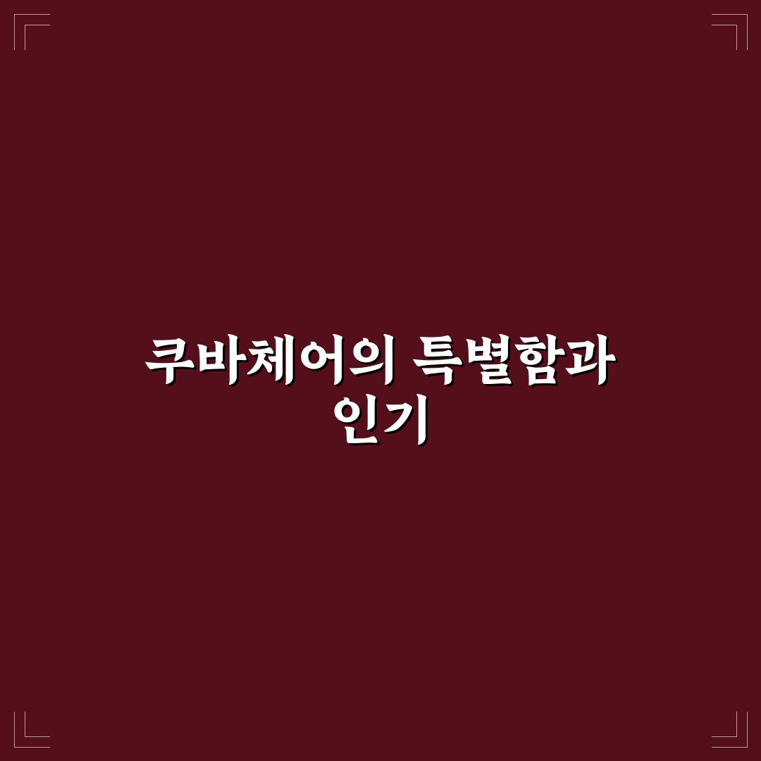 쿠바체어 사용법과 관리 꿀팁 쉽게 알려드려요