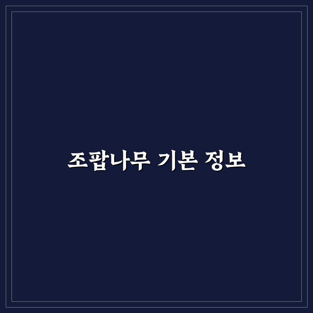 조팝나무 키우기 기본 방법과 꿀팁 쉽게 알려드려요