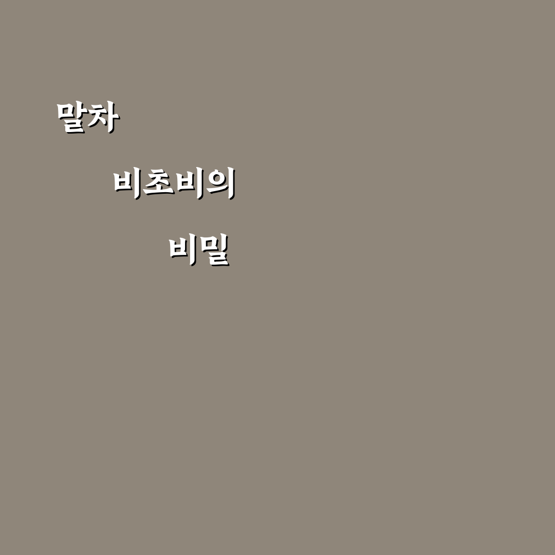 말차 비초비 선택 꿀팁과 사용 후기 정리
