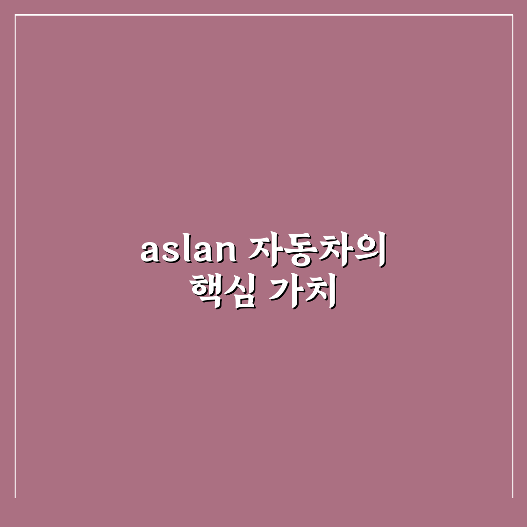 aslan 자동차 기능과 사용법 쉽게 알려드려요