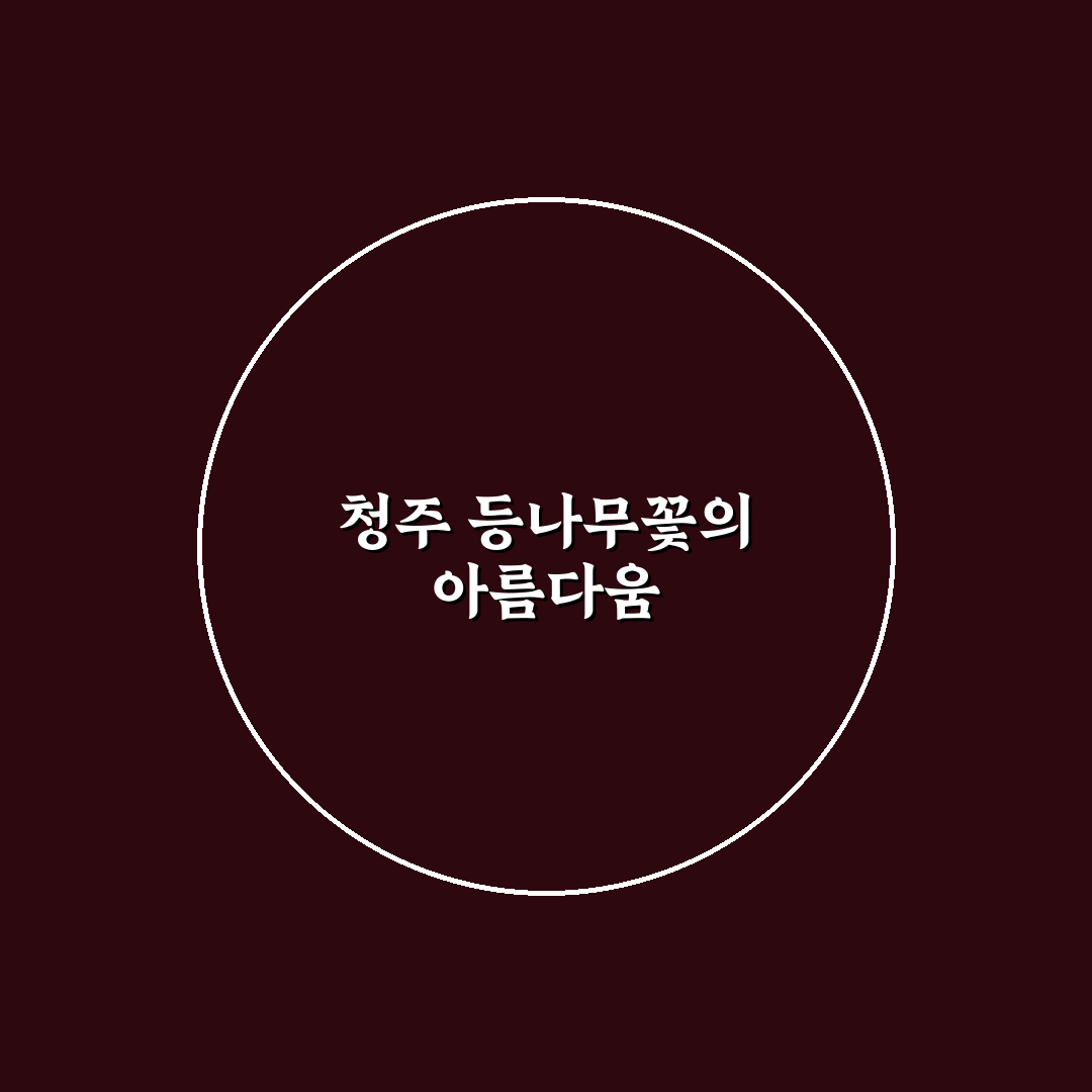 청주 등나무꽃 쉽게 즐기는 방법과 꿀팁 정리