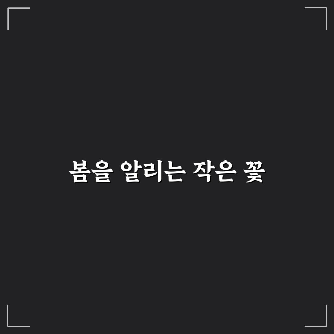박새꽃 키우기 꿀팁과 관리 방법 정리
