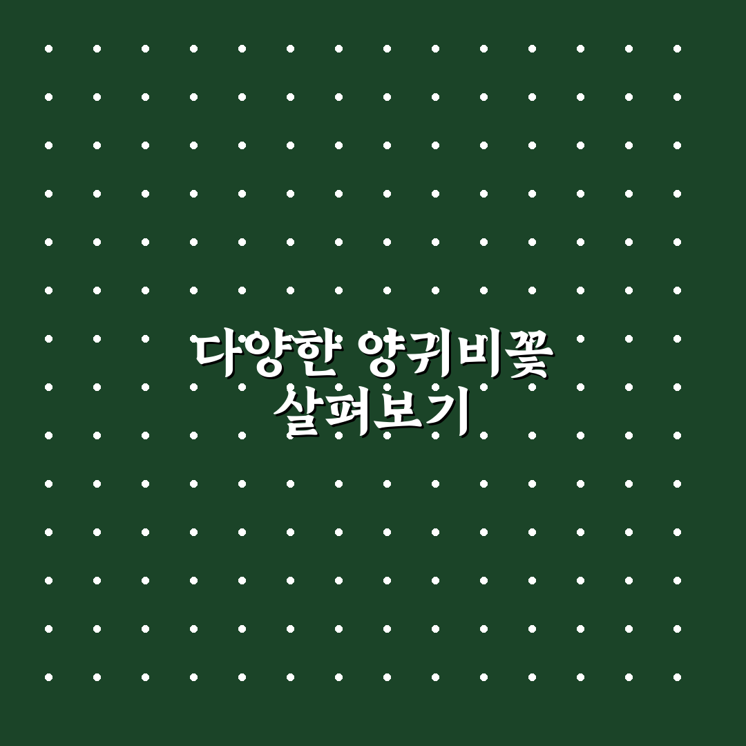 양귀비꽃 구분 방법과 특징 쉽게 알려드려요